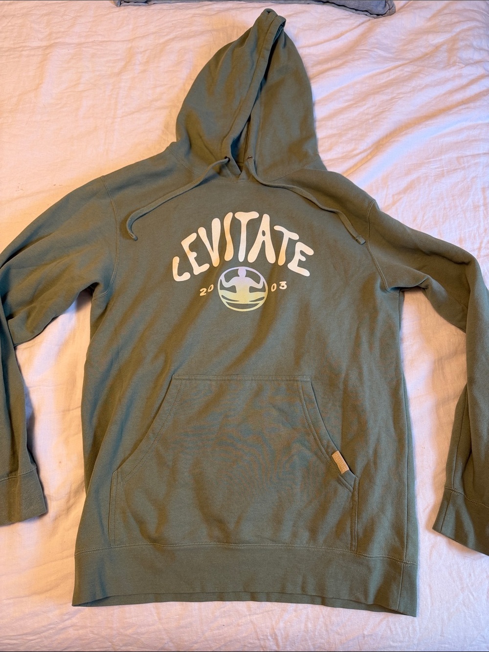 Levitate Olive Green Men's Hoodie Sweatshirt